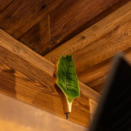 Luna Luxury - Z Sauną I Jacuzzi Apartament *